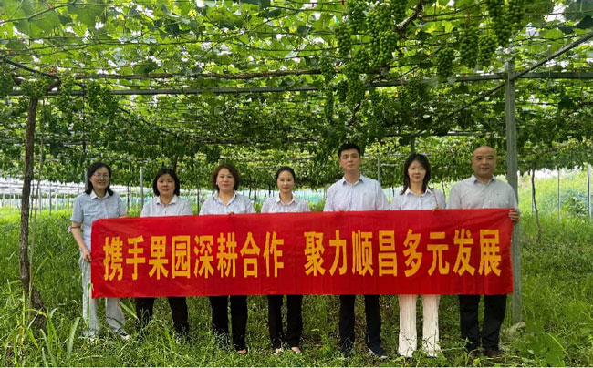 中国·太阳成集团(tyc122cc)官网-SunCity Group